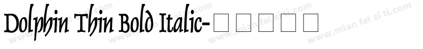 Dolphin Thin Bold Italic字体转换